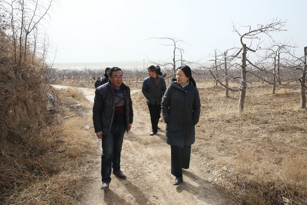 微信图片_20180213150308_幼.jpg